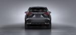 Lexus NX300h 2017 года (WW)